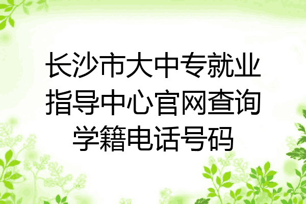 长沙市大中专就业指导中心官网查询学籍电话号码