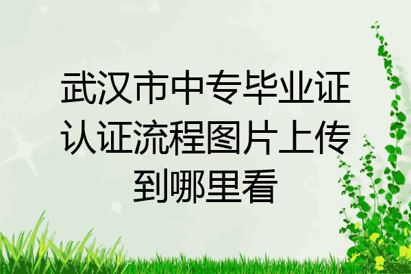 武汉市中专毕业证认证流程图片上传到哪里看