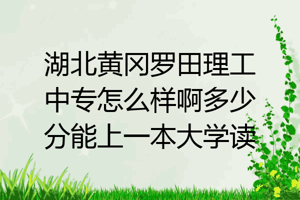 湖北黄冈罗田理工中专怎么样啊多少分能上一本大学读