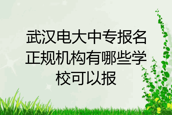 武汉电大中专报名正规机构有哪些学校可以报