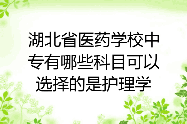 湖北省医药学校中专有哪些科目可以选择的是护理学