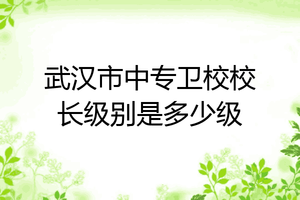 武汉市中专卫校校长级别是多少级
