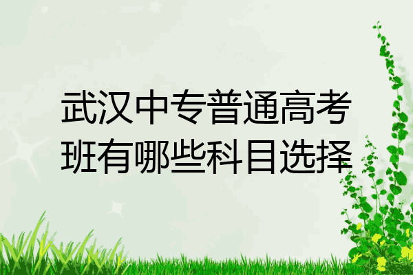 武汉中专普通高考班有哪些科目选择