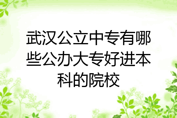武汉公立中专有哪些公办大专好进本科的院校