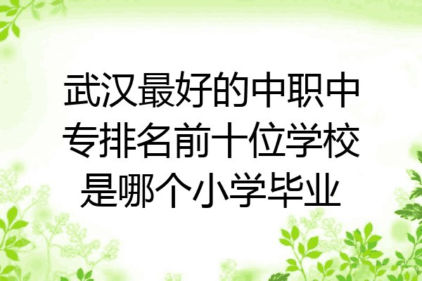武汉最好的中职中专排名前十位学校是哪个小学毕业