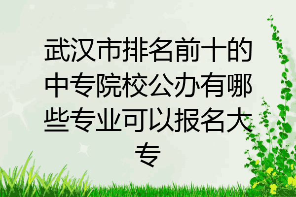武汉市排名前十的中专院校公办有哪些专业可以报名大专