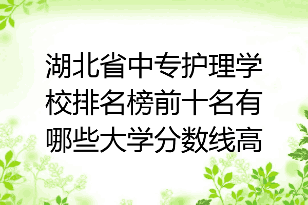 湖北省中专护理学校排名榜前十名有哪些大学分数线高