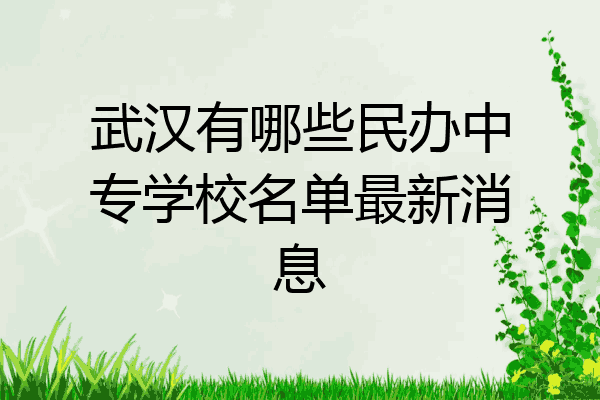 武汉有哪些民办中专学校名单最新消息