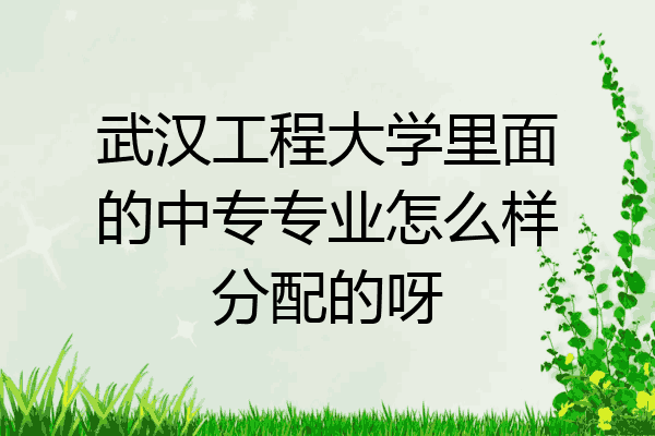 武汉工程大学里面的中专专业怎么样分配的呀