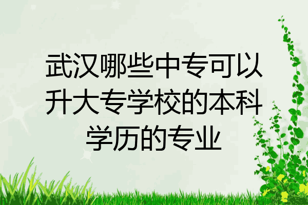 武汉哪些中专可以升大专学校的本科学历的专业