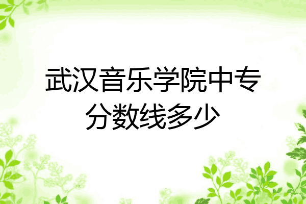 武汉音乐学院中专分数线多少