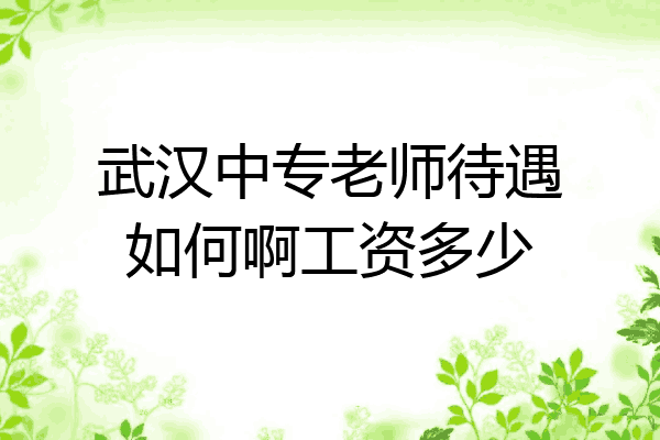 武汉中专老师待遇如何啊工资多少