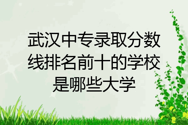 武汉中专录取分数线排名前十的学校是哪些大学