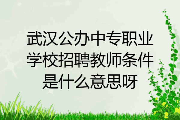 武汉公办中专职业学校招聘教师条件是什么意思呀