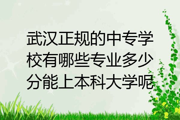 武汉正规的中专学校有哪些专业多少分能上本科大学呢
