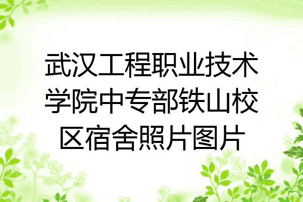 武汉工程职业技术学院中专部铁山校区宿舍照片图片