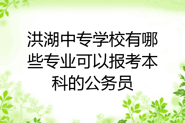 洪湖中专学校有哪些专业可以报考本科的公务员