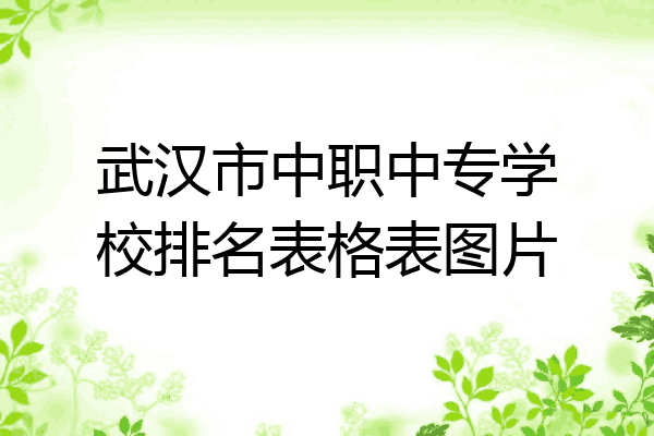 武汉市中职中专学校排名表格表图片