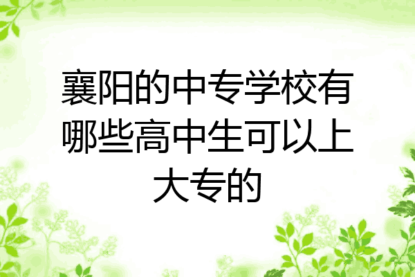 襄阳的中专学校有哪些高中生可以上大专的