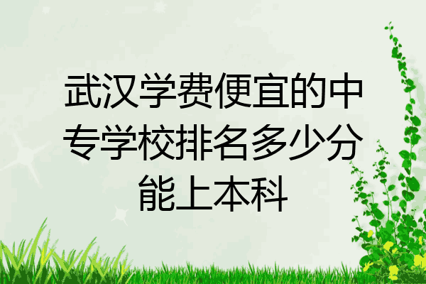 武汉学费便宜的中专学校排名多少分能上本科