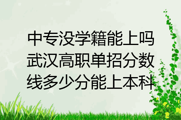 中专没学籍能上吗武汉高职单招分数线多少分能上本科
