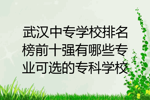 武汉中专学校排名榜前十强有哪些专业可选的专科学校