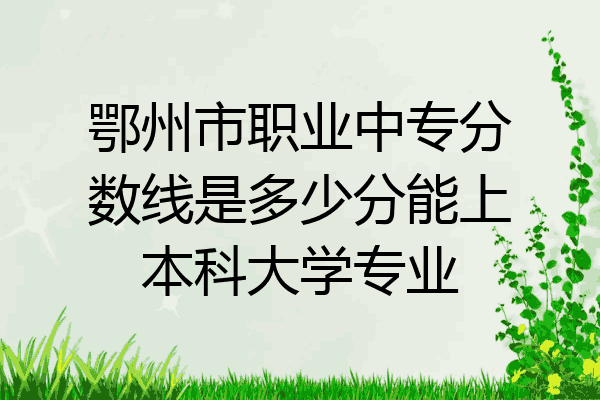 鄂州市职业中专分数线是多少分能上本科大学专业
