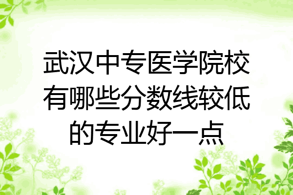 武汉中专医学院校有哪些分数线较低的专业好一点