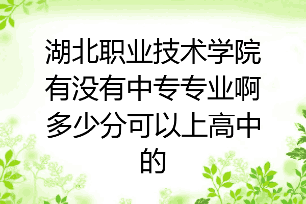 湖北职业技术学院有没有中专专业啊多少分可以上高中的