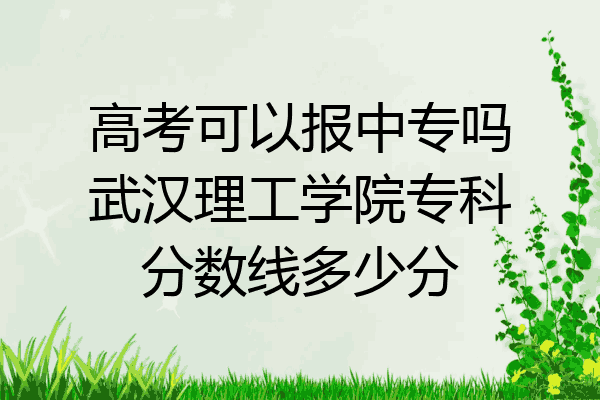 高考可以报中专吗武汉理工学院专科分数线多少分