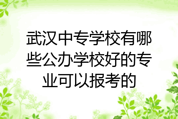 武汉中专学校有哪些公办学校好的专业可以报考的