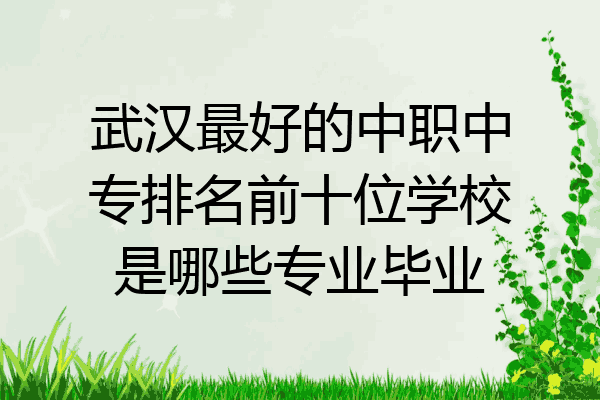 武汉最好的中职中专排名前十位学校是哪些专业毕业