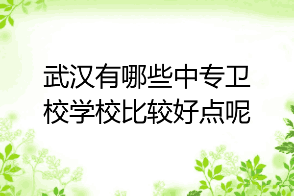 武汉有哪些中专卫校学校比较好点呢