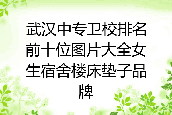 武汉中专卫校排名前十位图片大全女生宿舍楼床垫子品牌
