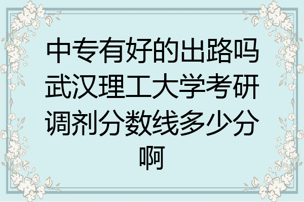 中专有好的出路吗武汉理工大学考研调剂分数线多少分啊