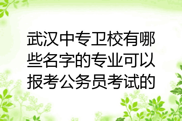 武汉中专卫校有哪些名字的专业可以报考公务员考试的