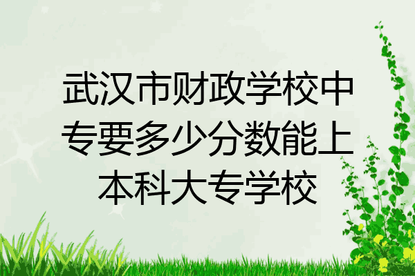 武汉市财政学校中专要多少分数能上本科大专学校