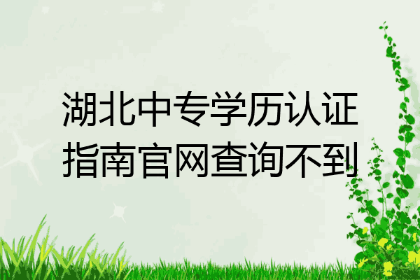湖北中专学历认证指南官网查询不到