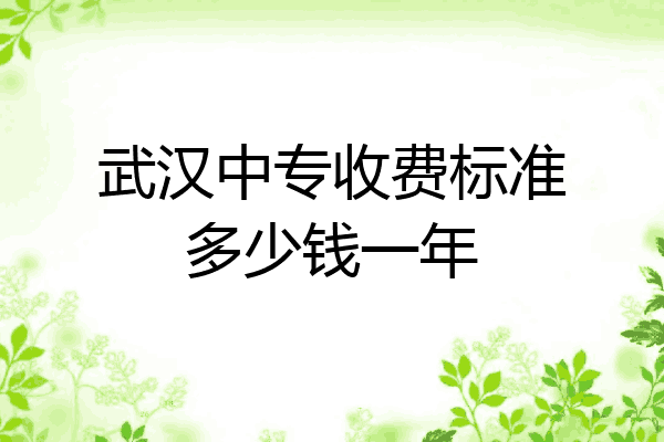 武汉中专收费标准多少钱一年