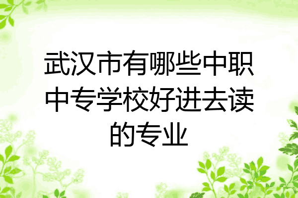 武汉市有哪些中职中专学校好进去读的专业