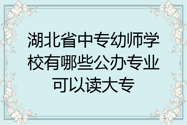 湖北省中专幼师学校有哪些公办专业可以读大专
