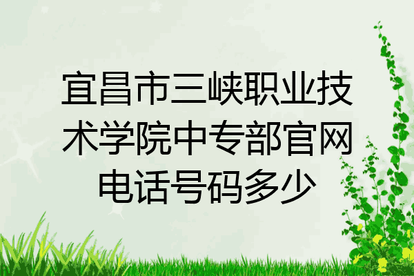 宜昌市三峡职业技术学院中专部官网电话号码多少