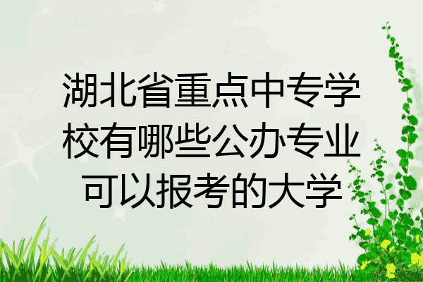 湖北省重点中专学校有哪些公办专业可以报考的大学