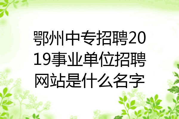 鄂州中专招聘2019事业单位招聘网站是什么名字