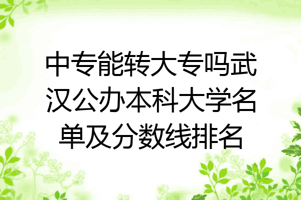 中专能转大专吗武汉公办本科大学名单及分数线排名