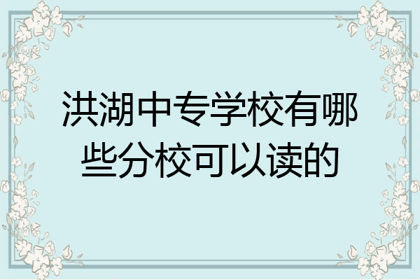 洪湖中专学校有哪些分校可以读的