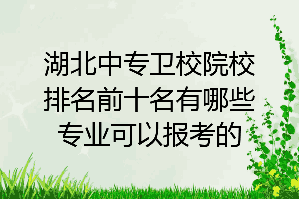 湖北中专卫校院校排名前十名有哪些专业可以报考的