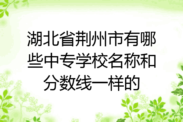 湖北省荆州市有哪些中专学校名称和分数线一样的