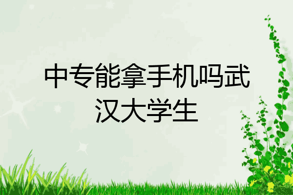 中专能拿手机吗武汉大学生