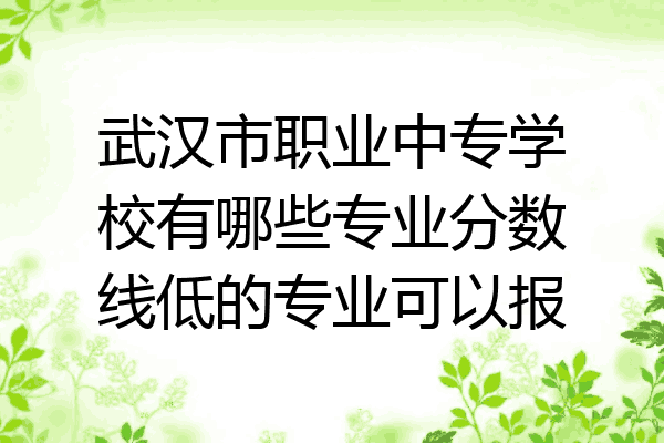 武汉市职业中专学校有哪些专业分数线低的专业可以报